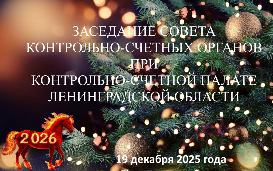 Заседание Совета контрольно-счетных органов при КСП ЛО Заседание Совета контрольно-счетных органов при КСП ЛО