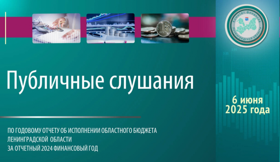 Публичные слушания  отчета об исполнении областного бюджета за 2024 год