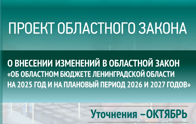 Представлено заключение на проект закона об областном бюджете Представлено заключение на проект закона об областном бюджете