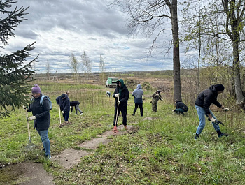 Сотрудники КСП ЛО вышли на субботник